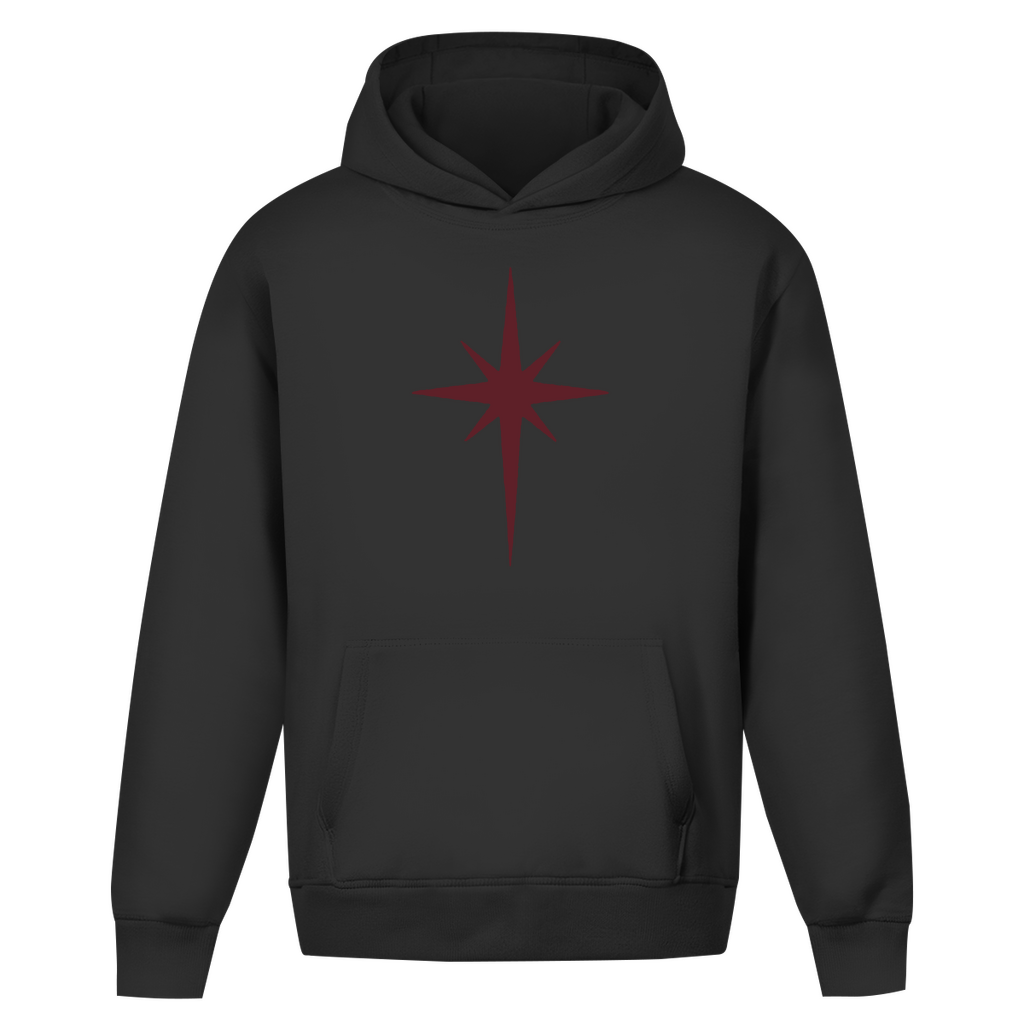 Star Logo Hoodie